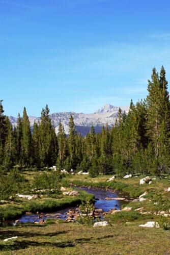 Yosemite, CA